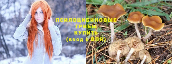 прущая мука Покачи