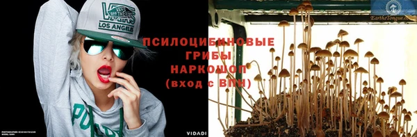 прущая мука Покачи